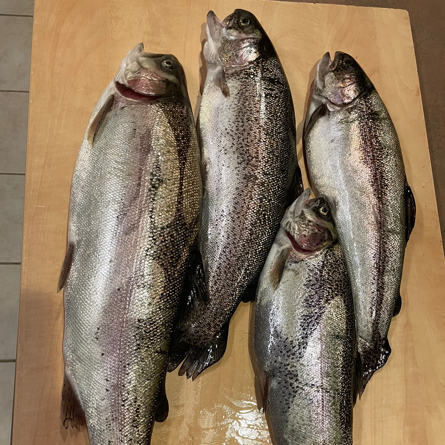 recently logged catches