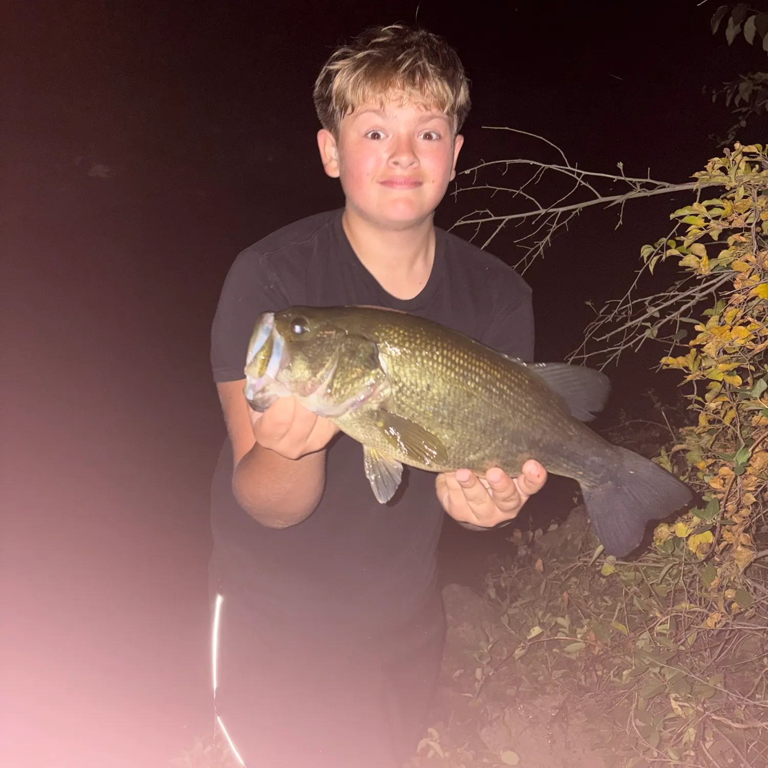 Largemouth bass caught on Fishbrain