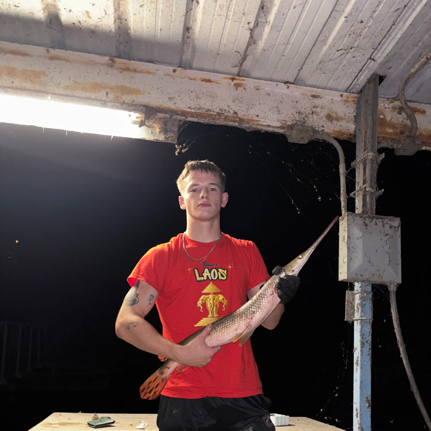 Longnose gar caught on Fishbrain