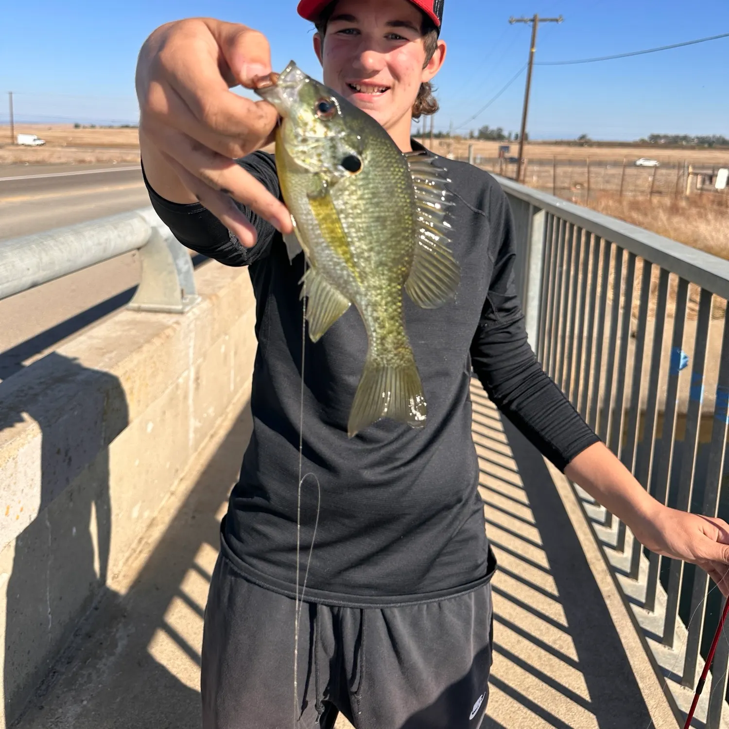 Redear sunfish caught on Fishbrain
