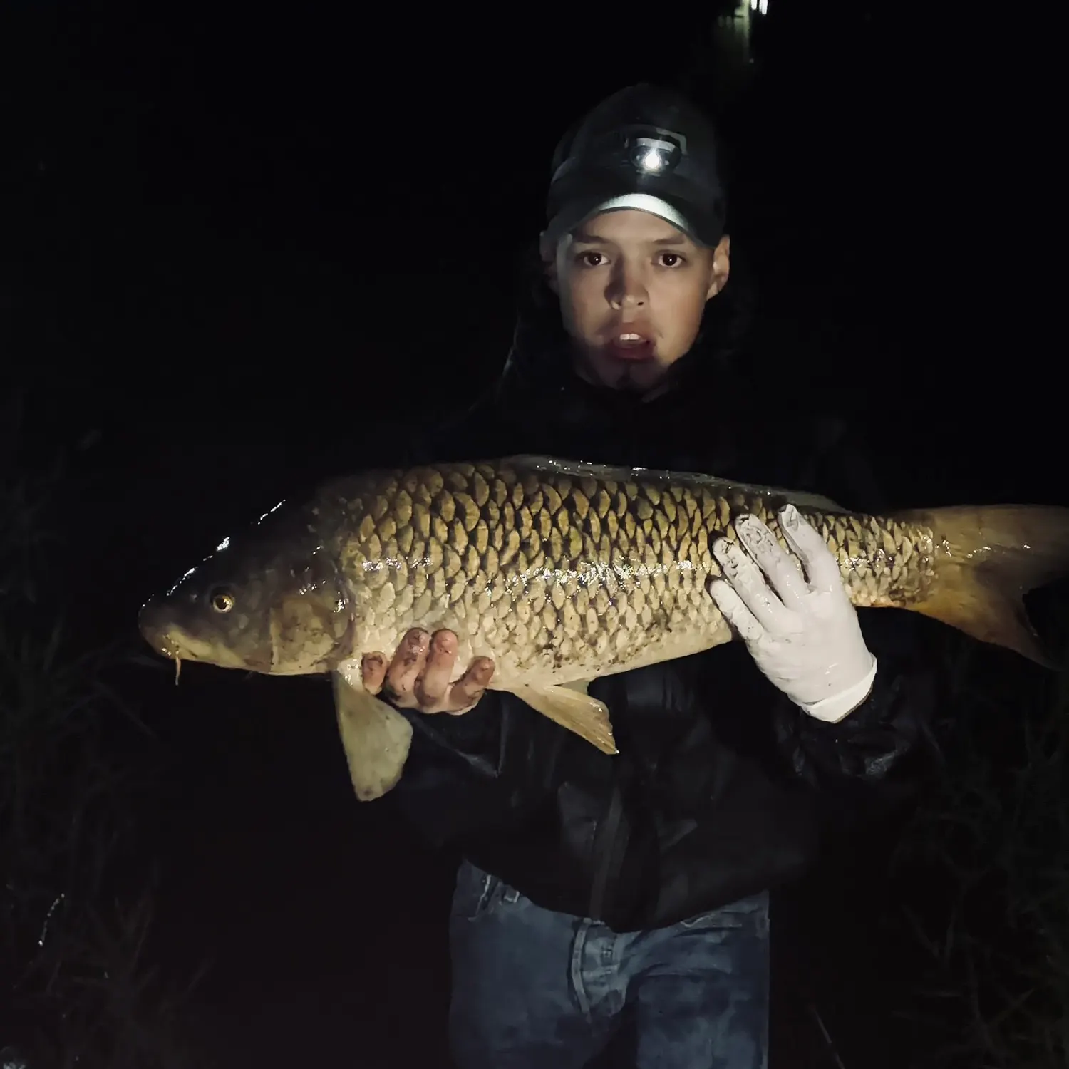 Common carp caught on Fishbrain