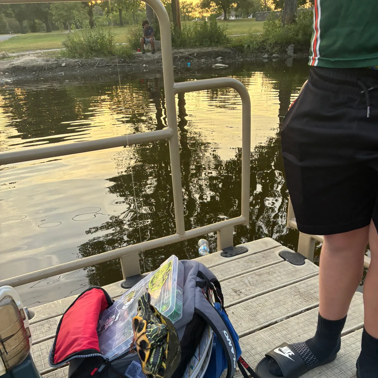 Northern pike caught on Fishbrain