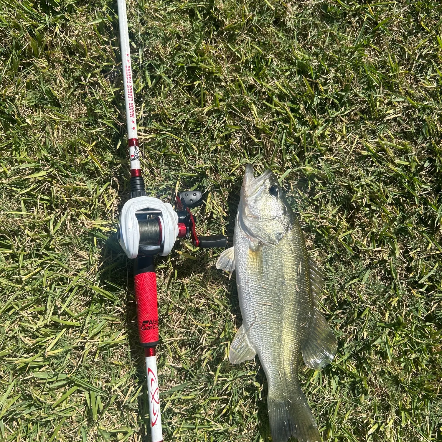 ᐅ Burberry Lake fishing reports🎣• Willow Grove, TX (United States) fishing