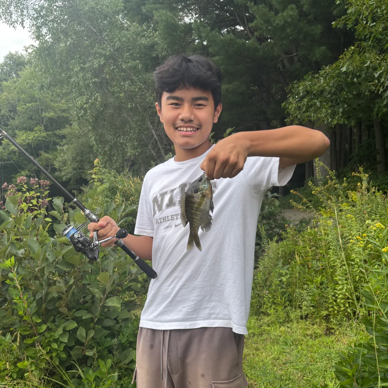 Bluegill caught on Fishbrain