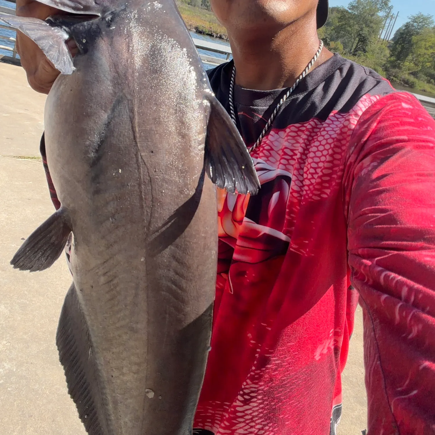 Blue catfish caught on Fishbrain