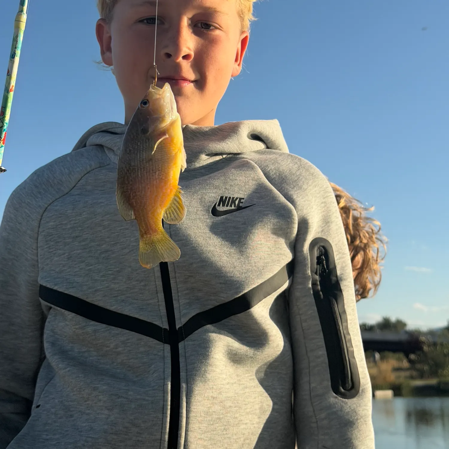 Green sunfish caught on Fishbrain