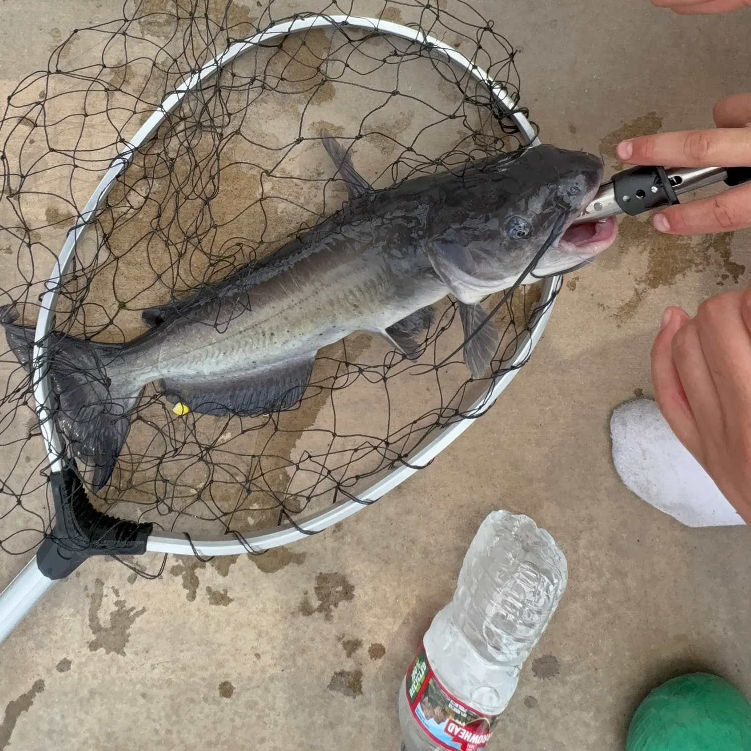 catch