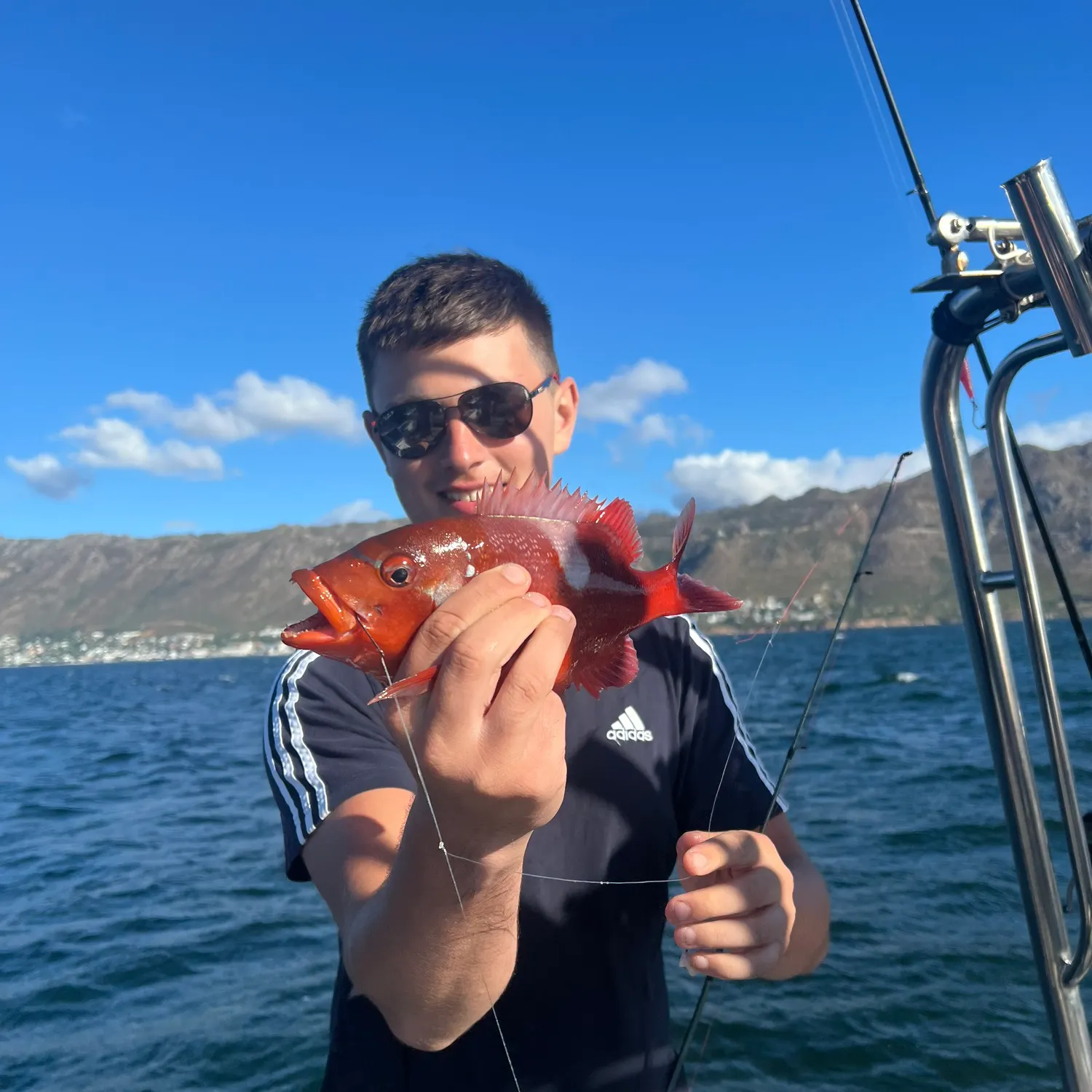 The most recent Roman seabream catches on Fishbrain