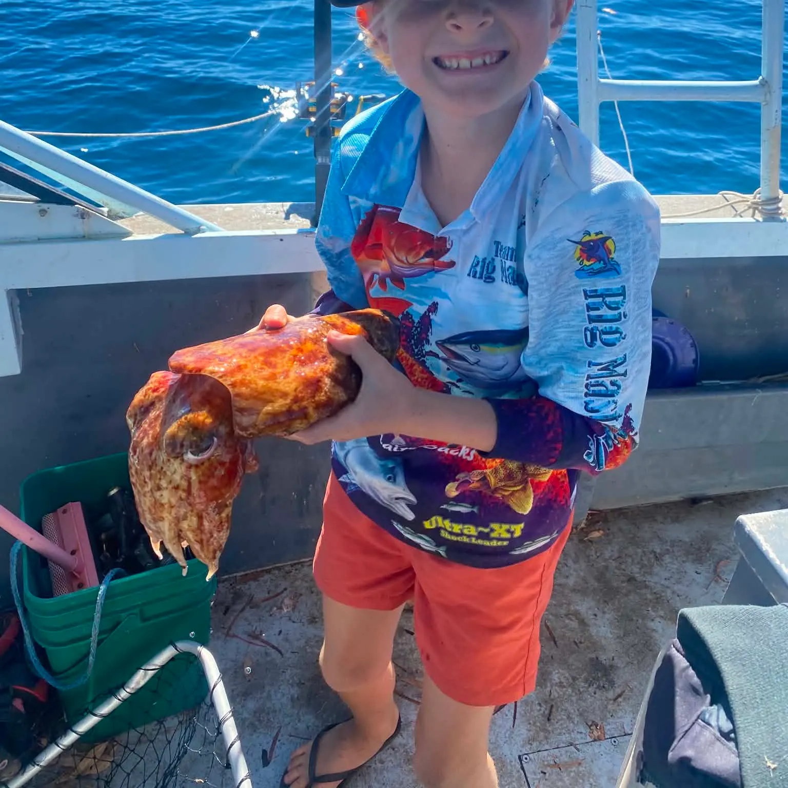 Common cuttlefish caught on Fishbrain