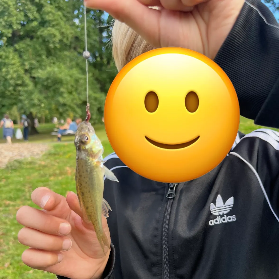 The most recent Eurasian ruffe catches on Fishbrain
