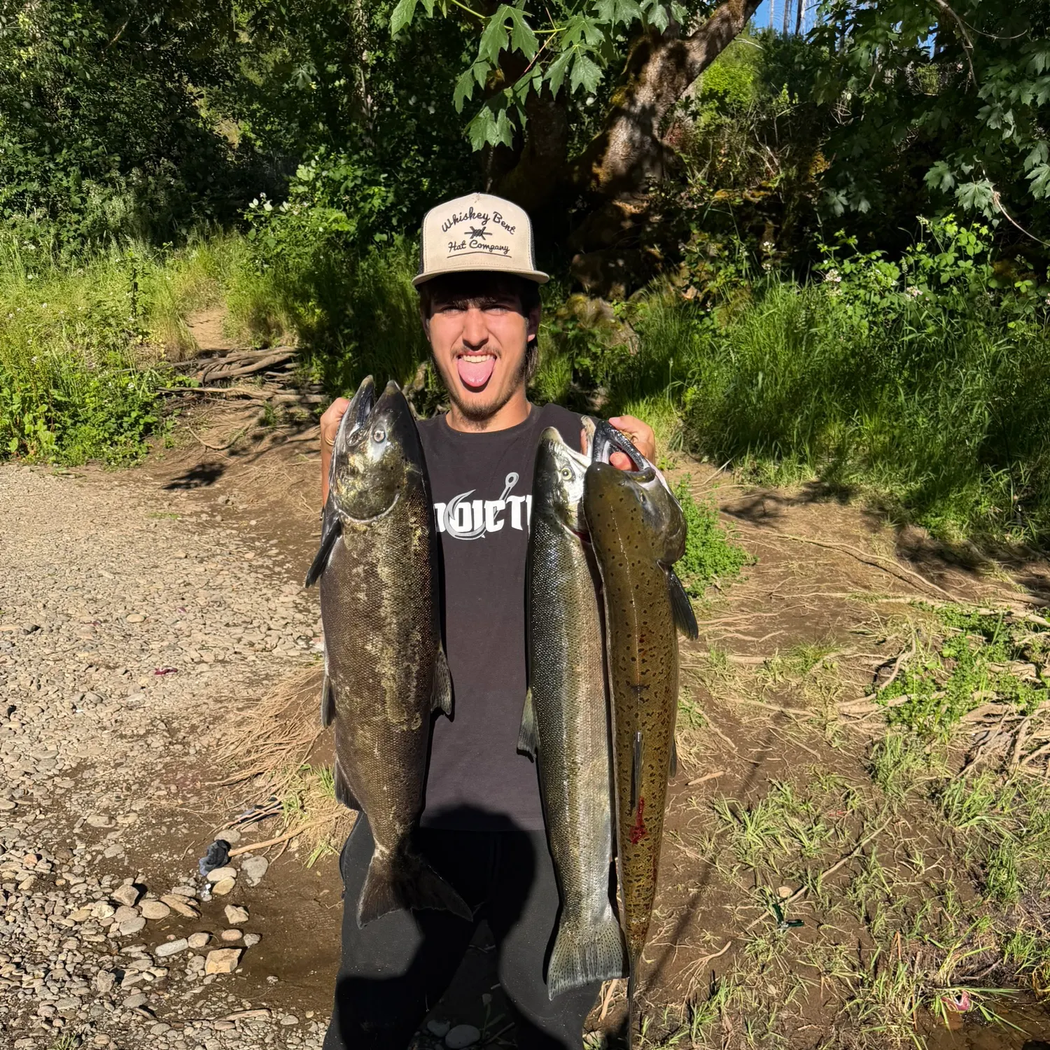 The most recent Chinook salmon catches on Fishbrain