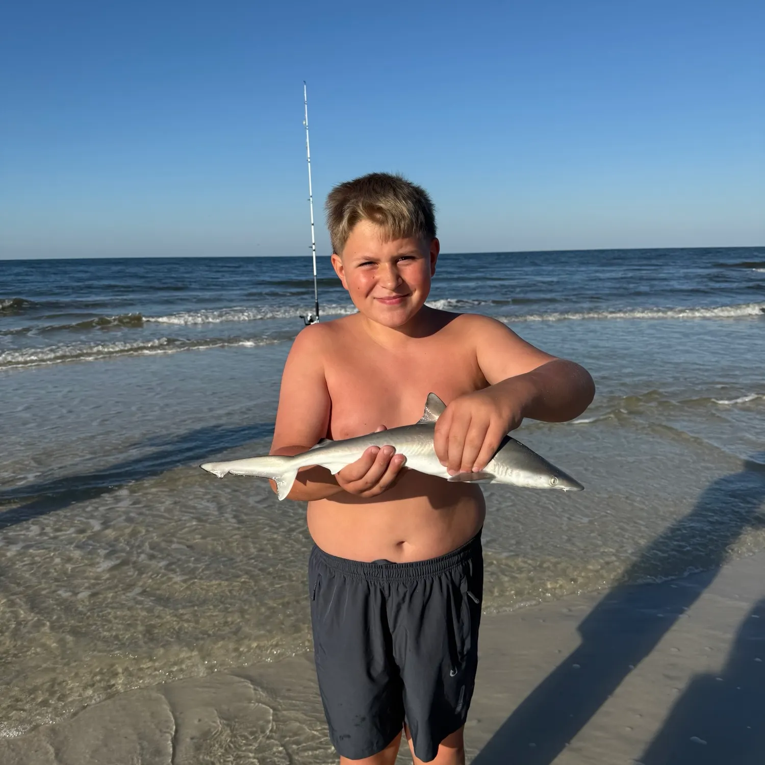 The most recent Atlantic sharpnose shark catches on Fishbrain