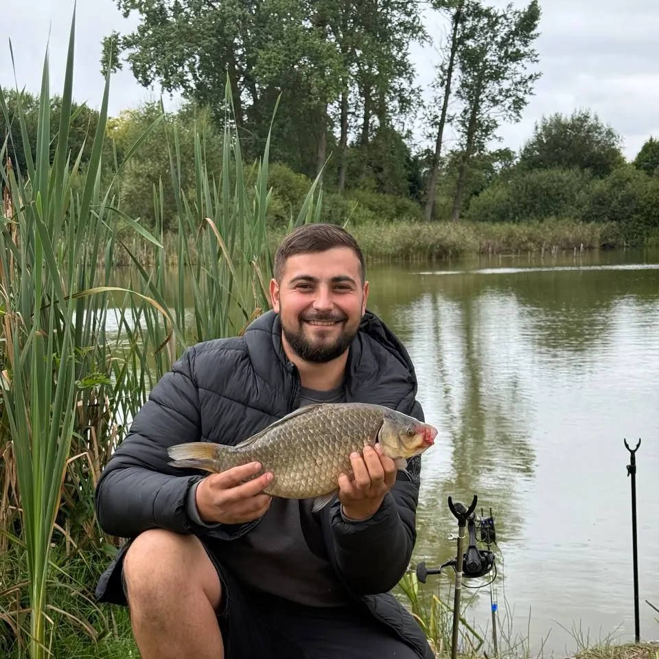 Crucian carp caught on Fishbrain