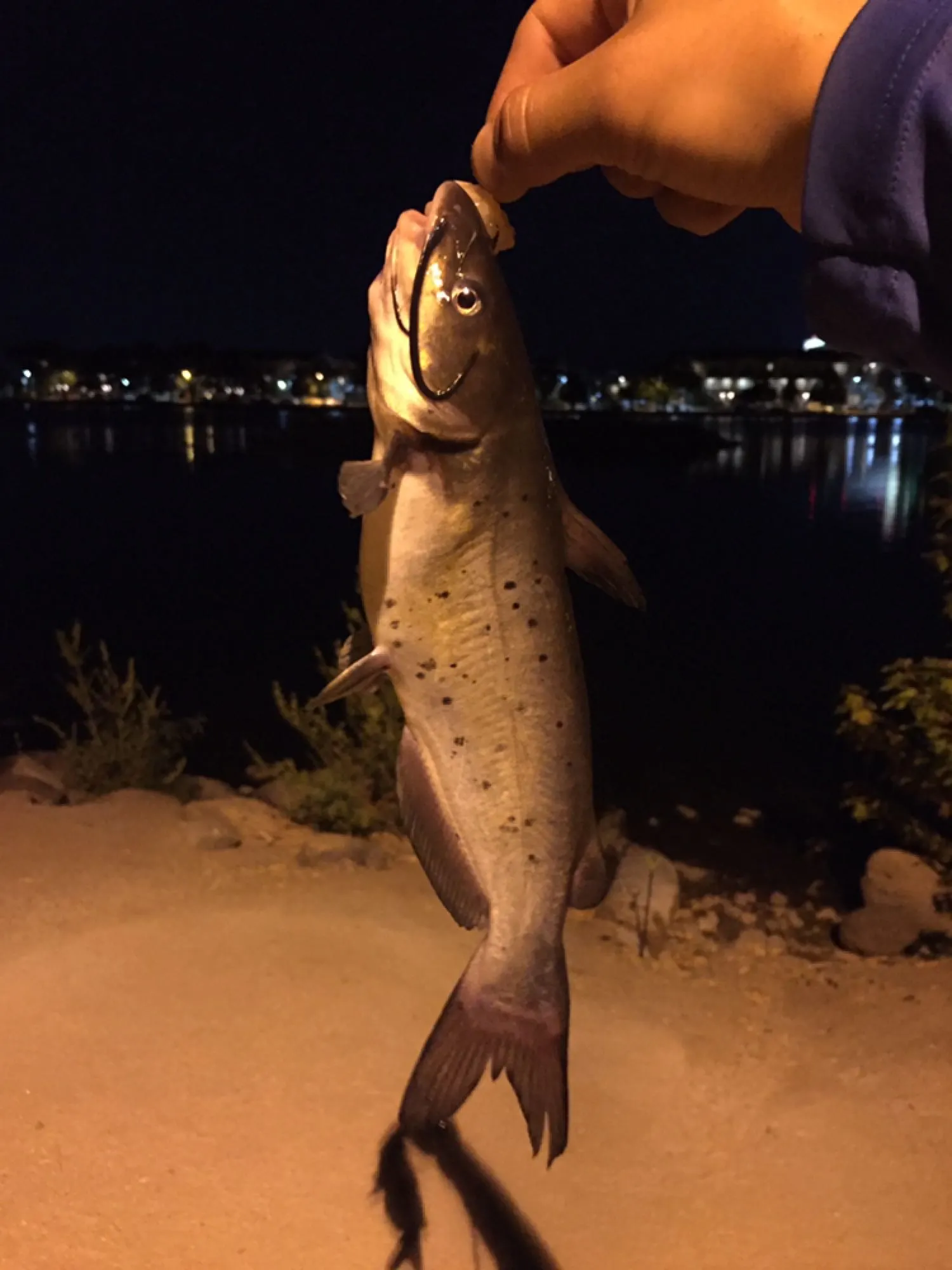 Post image from AgentS19