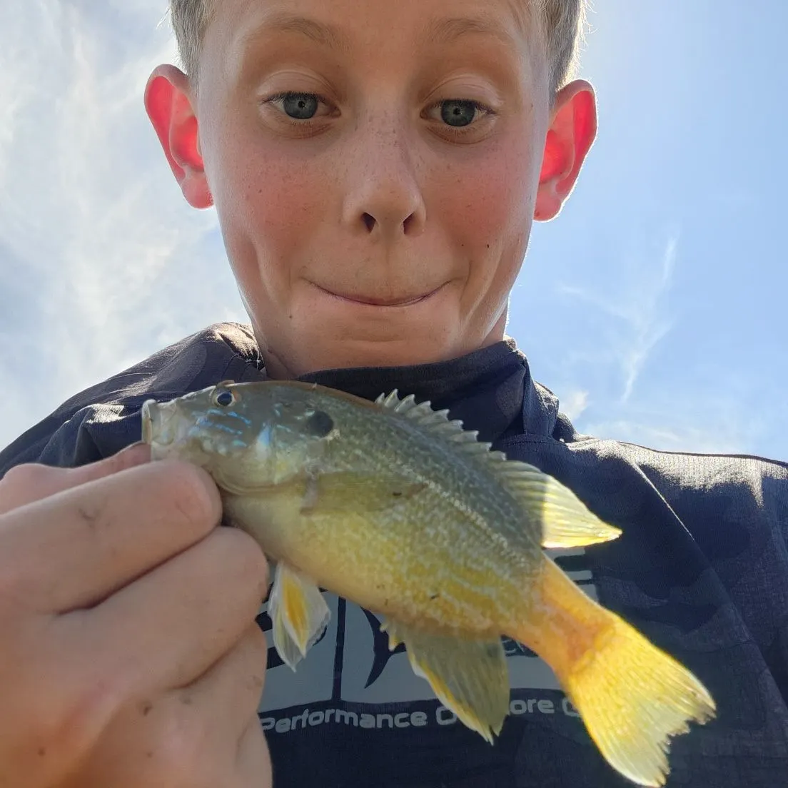 Green sunfish caught on Fishbrain