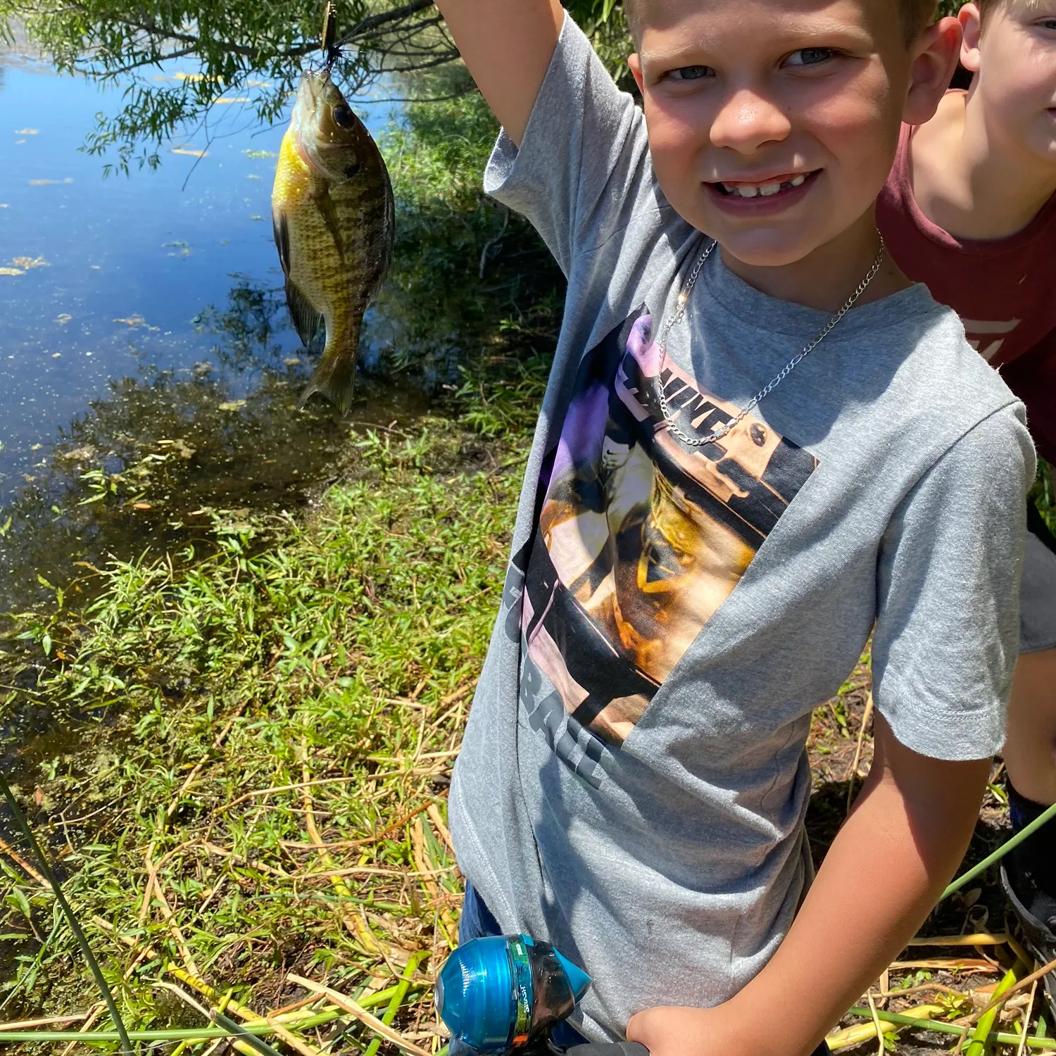 The most recent Golden perch catches on Fishbrain