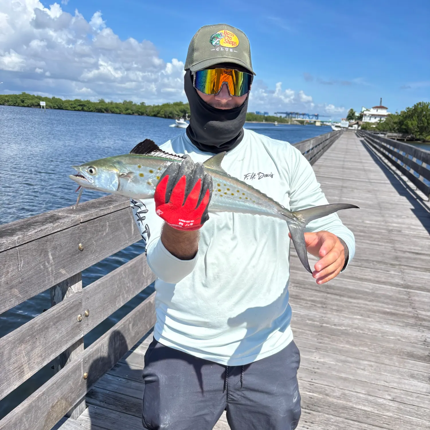 Spanish mackerel caught on Fishbrain