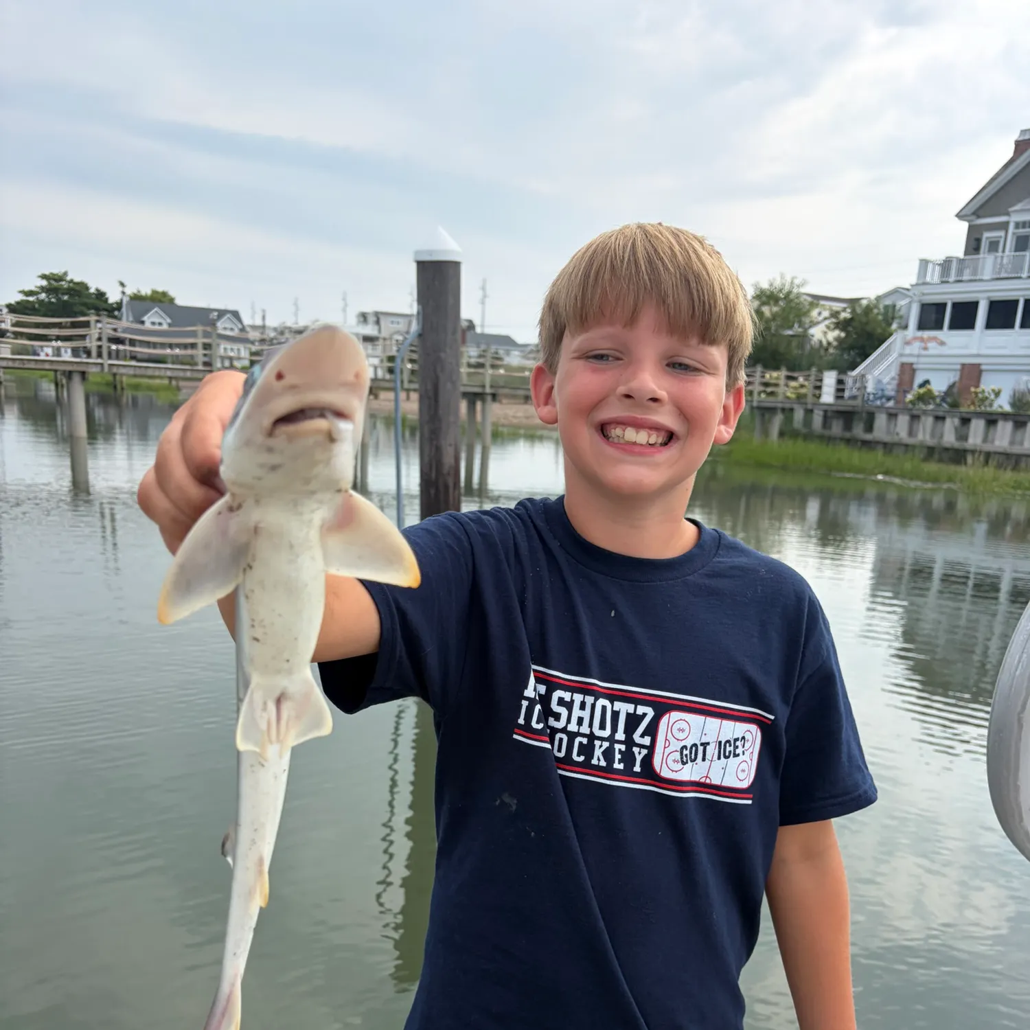 The most recent Bonnethead shark catches on Fishbrain