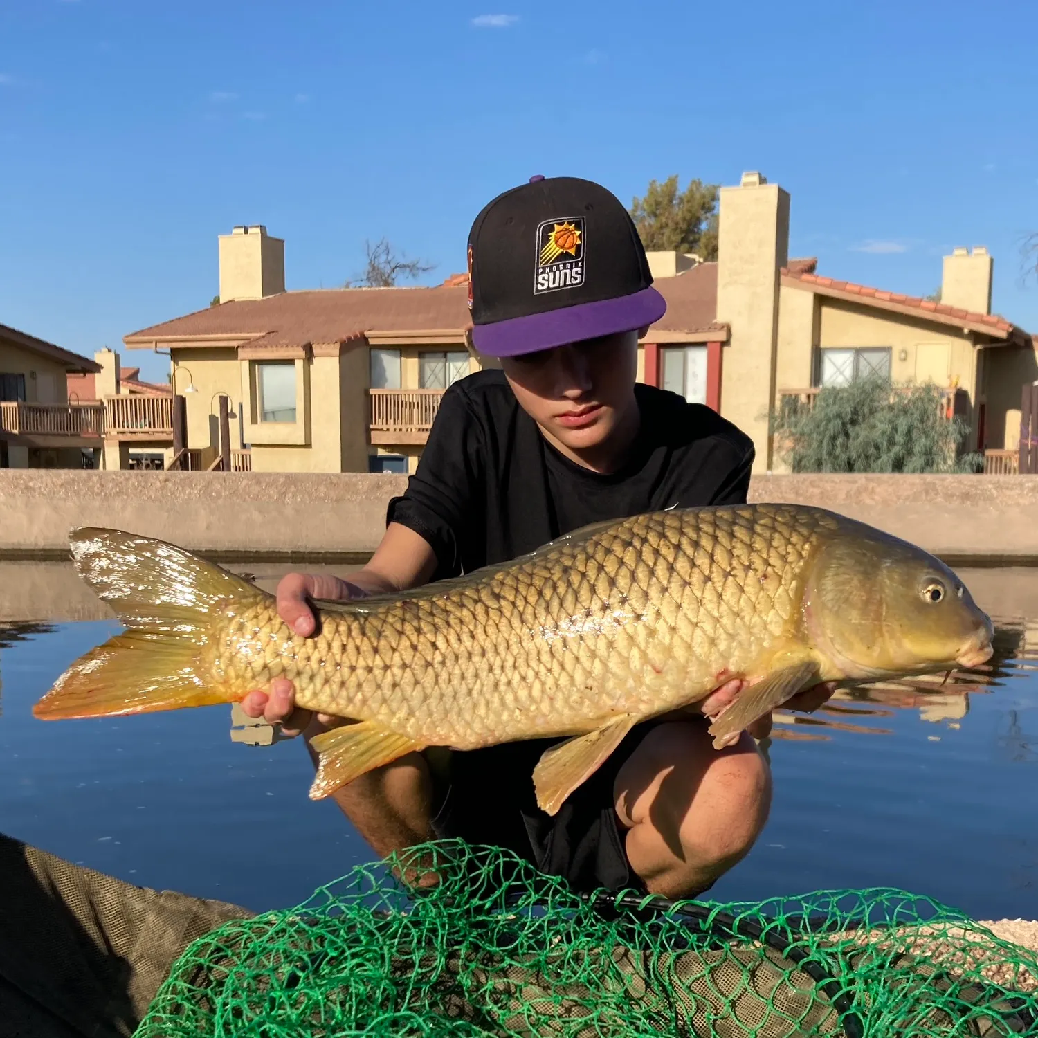 The most recent Common carp catches on Fishbrain