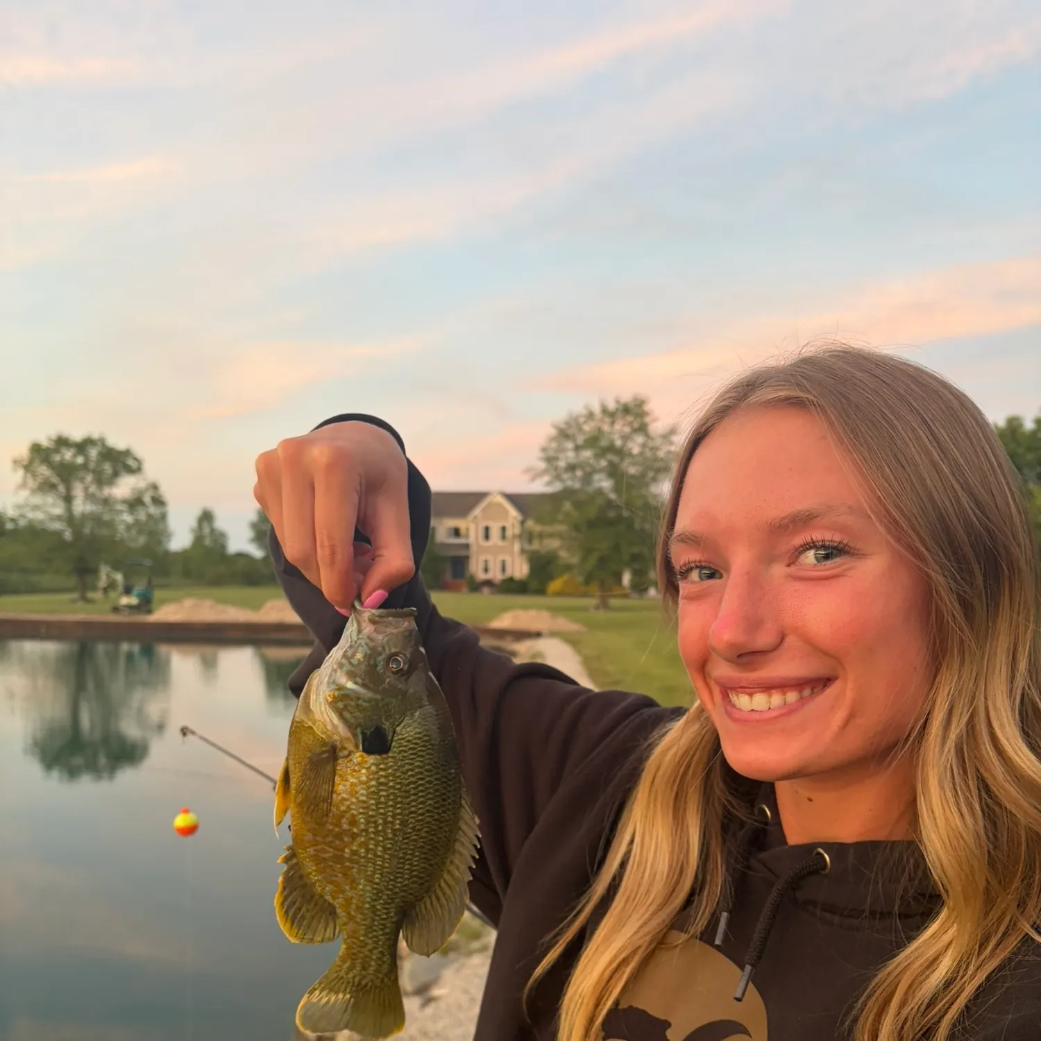 Greengill hybrid caught on Fishbrain
