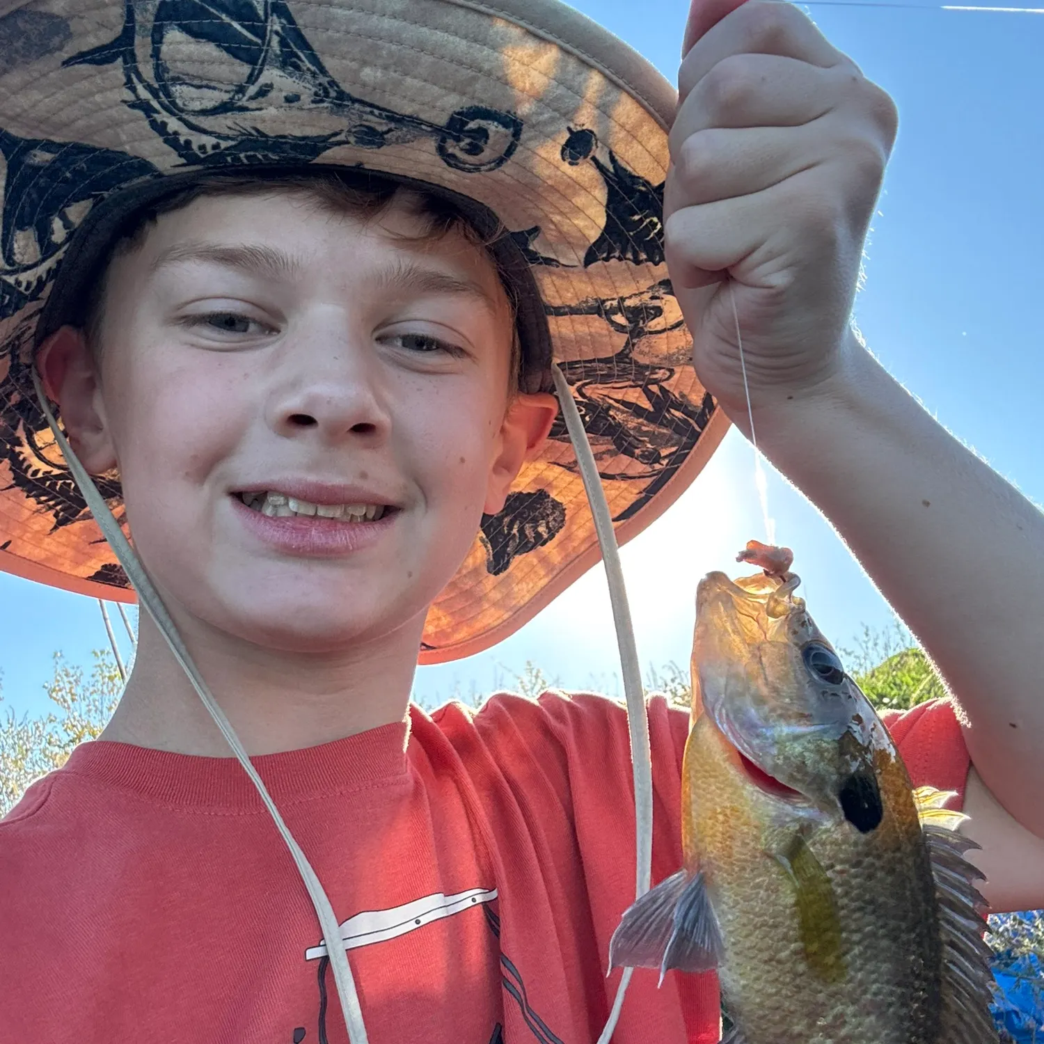 The most recent Wargill hybrid catches on Fishbrain