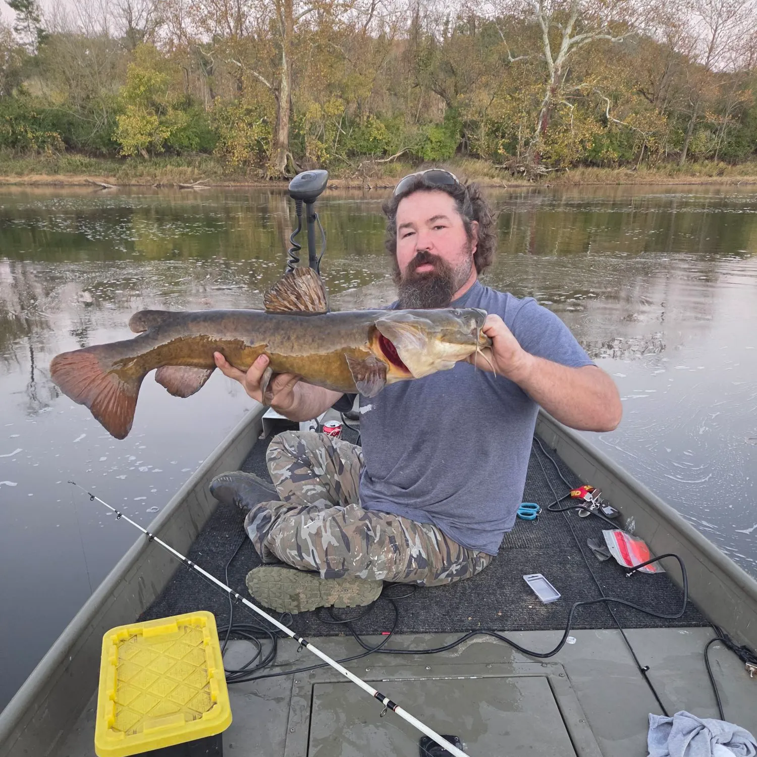 Flathead catfish caught on Fishbrain