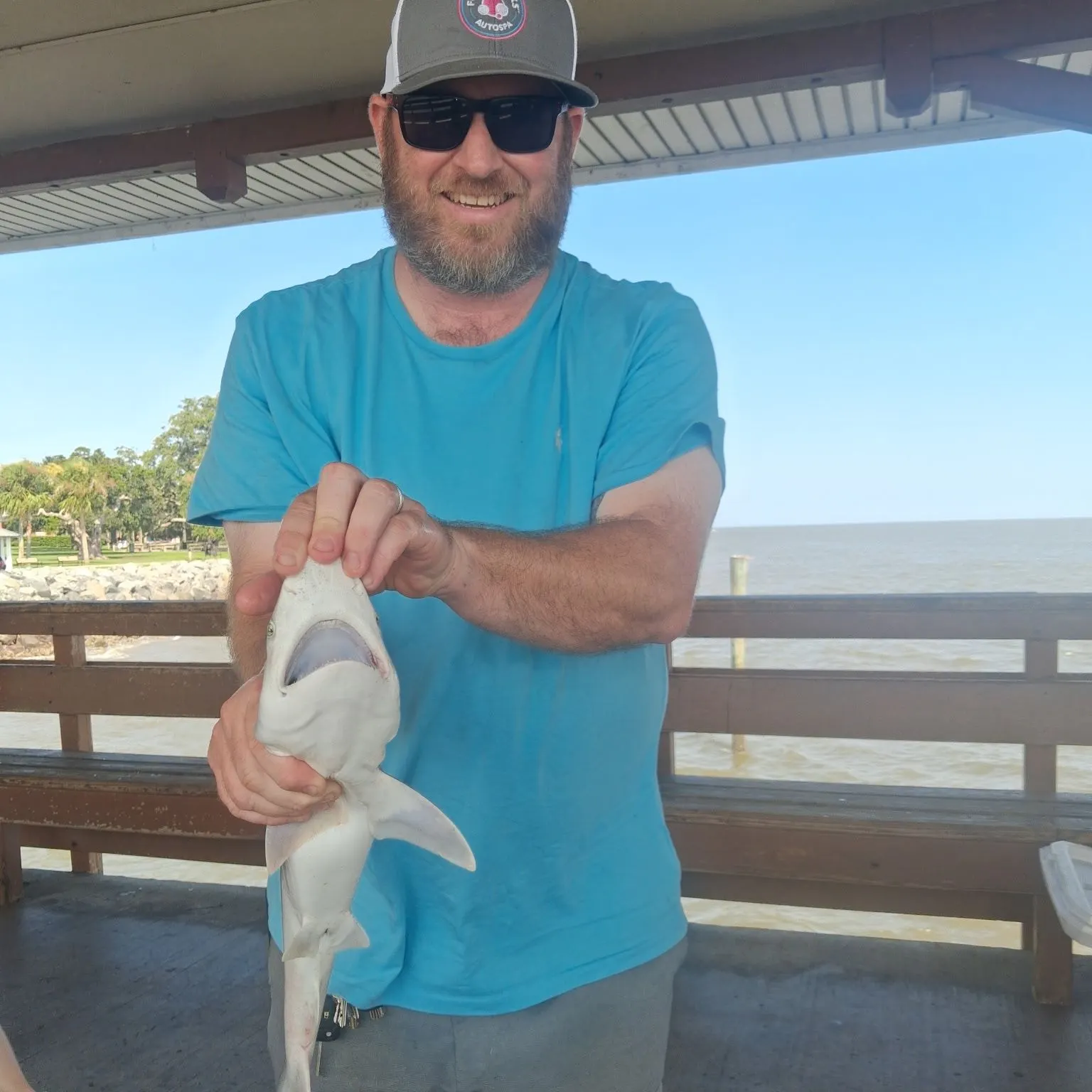 The most recent Blacktip shark catches on Fishbrain