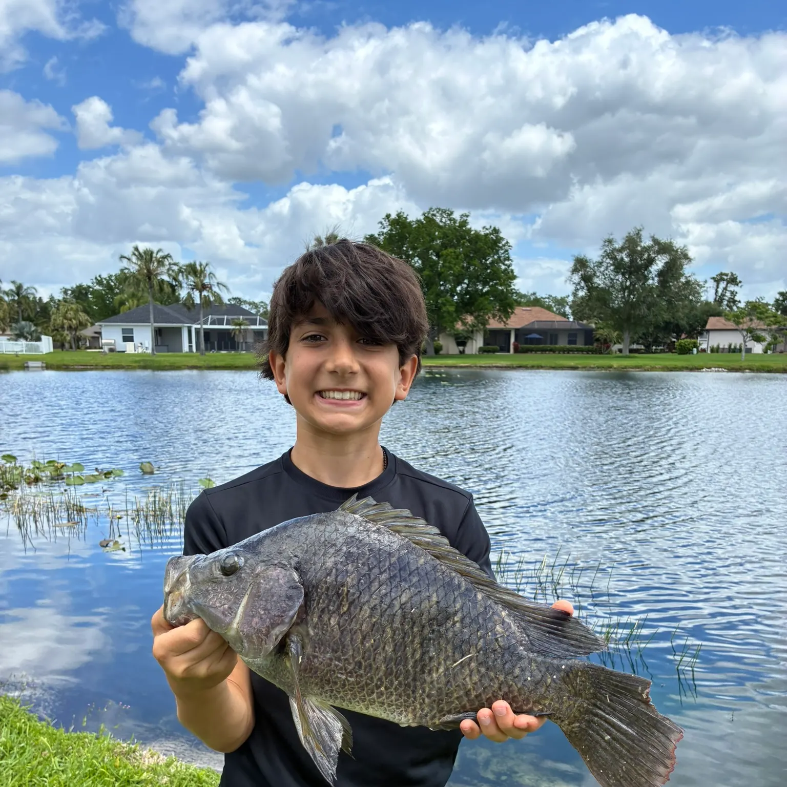 The most recent Nile tilapia catches on Fishbrain
