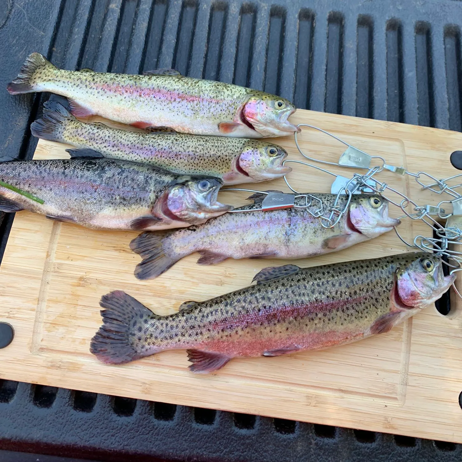 recently logged catches