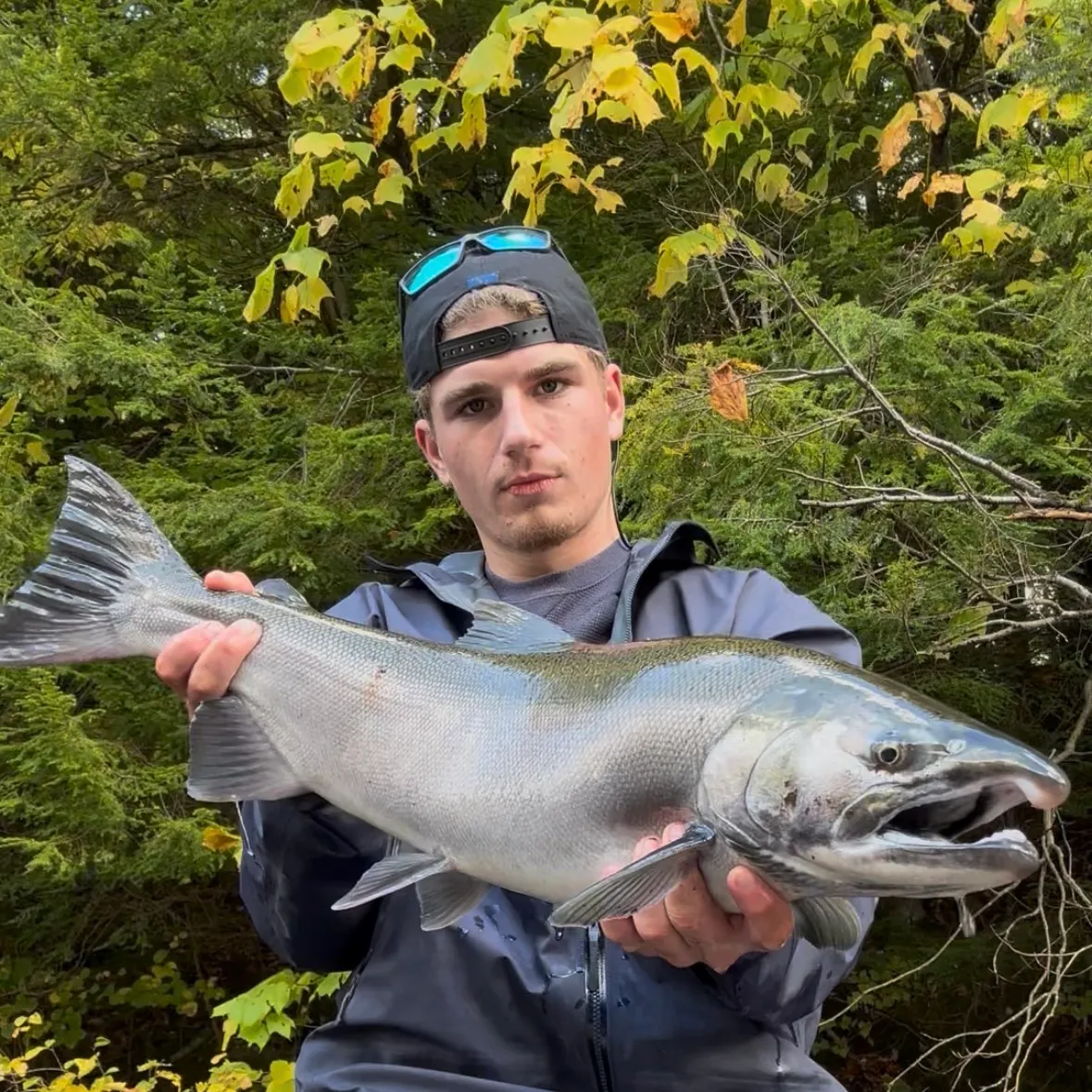 Coho salmon caught on Fishbrain