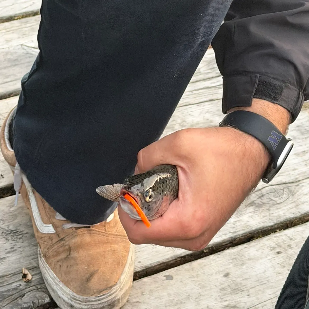 catch