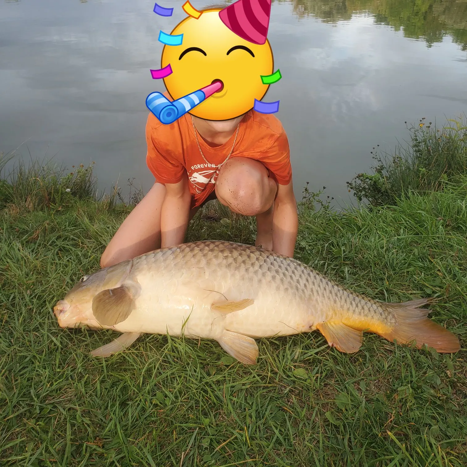Common carp caught on Fishbrain