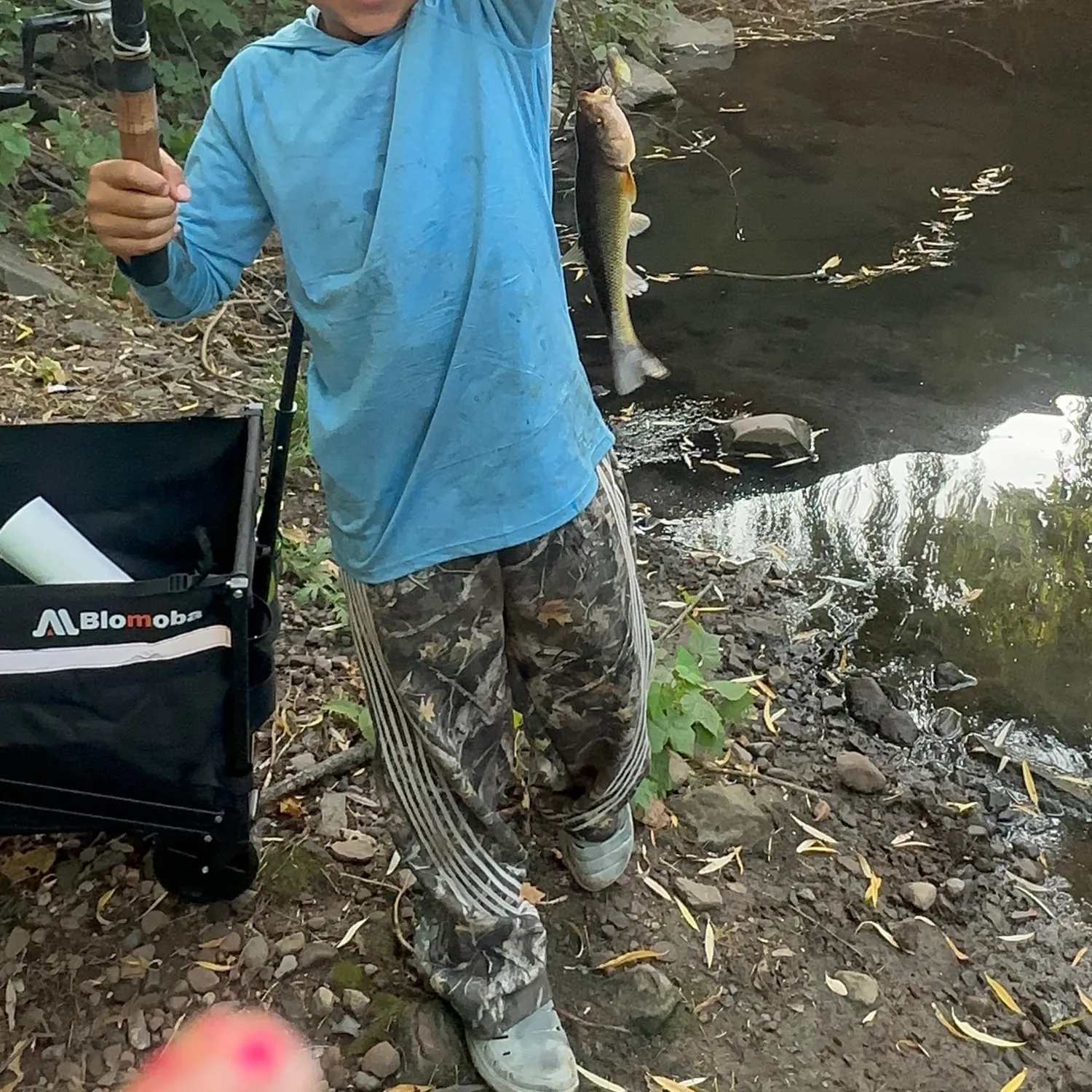 The most recent Creek chub catches on Fishbrain