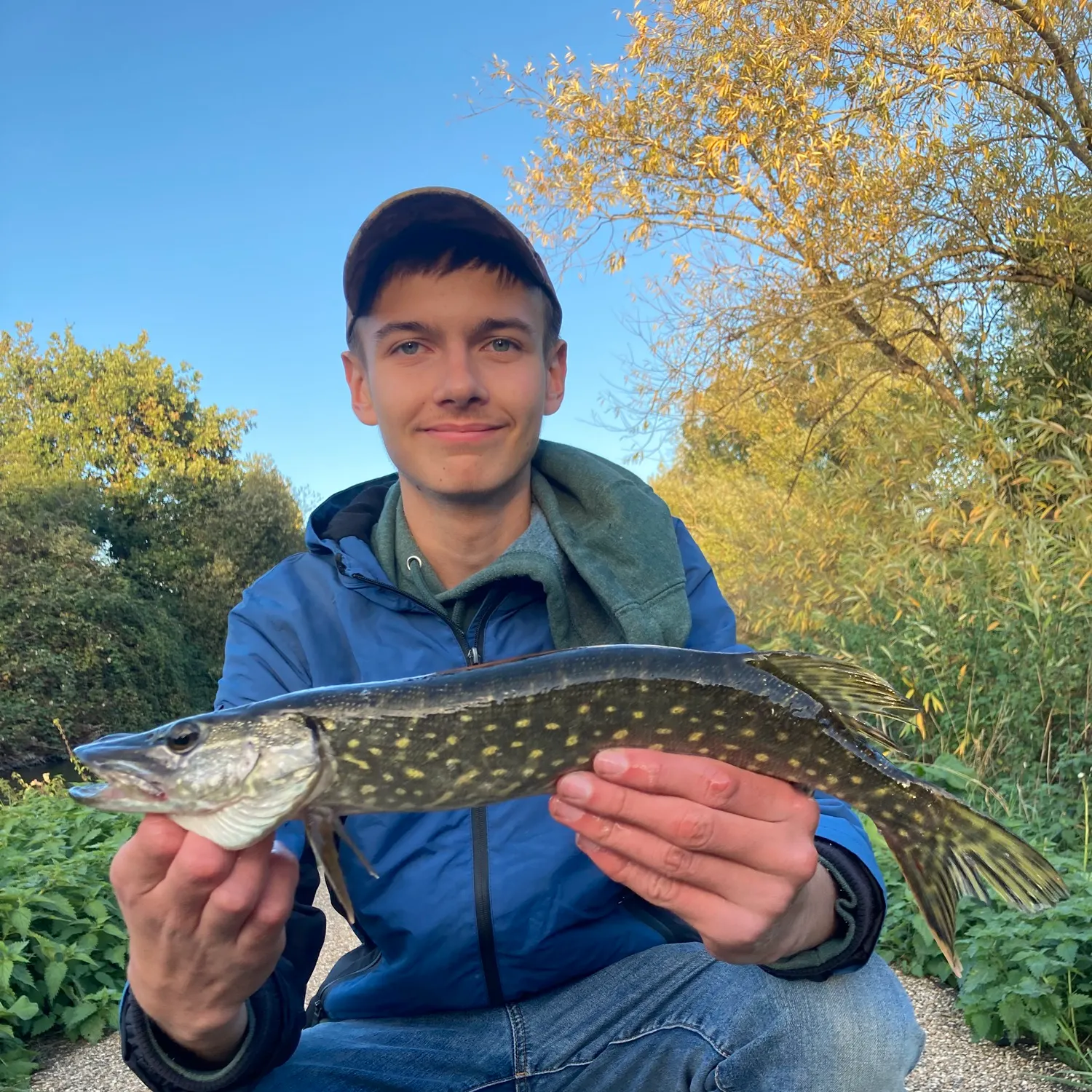 Northern pike caught on Fishbrain