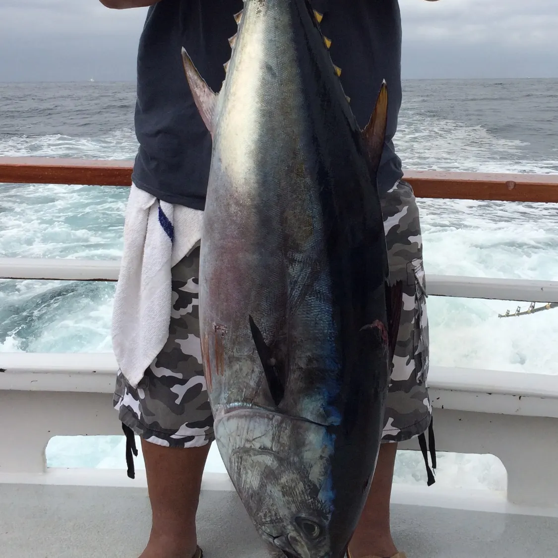 Pacific bluefin tuna caught on Fishbrain