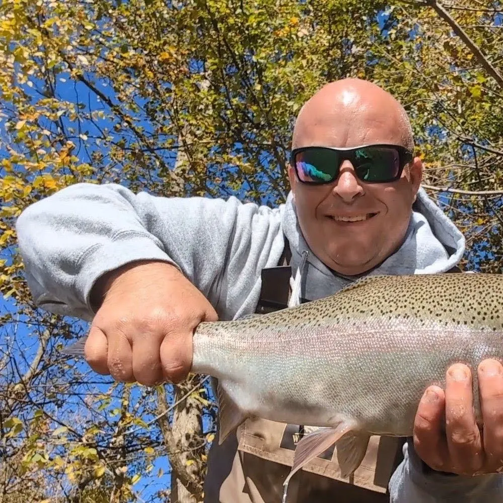 Steelhead caught on Fishbrain