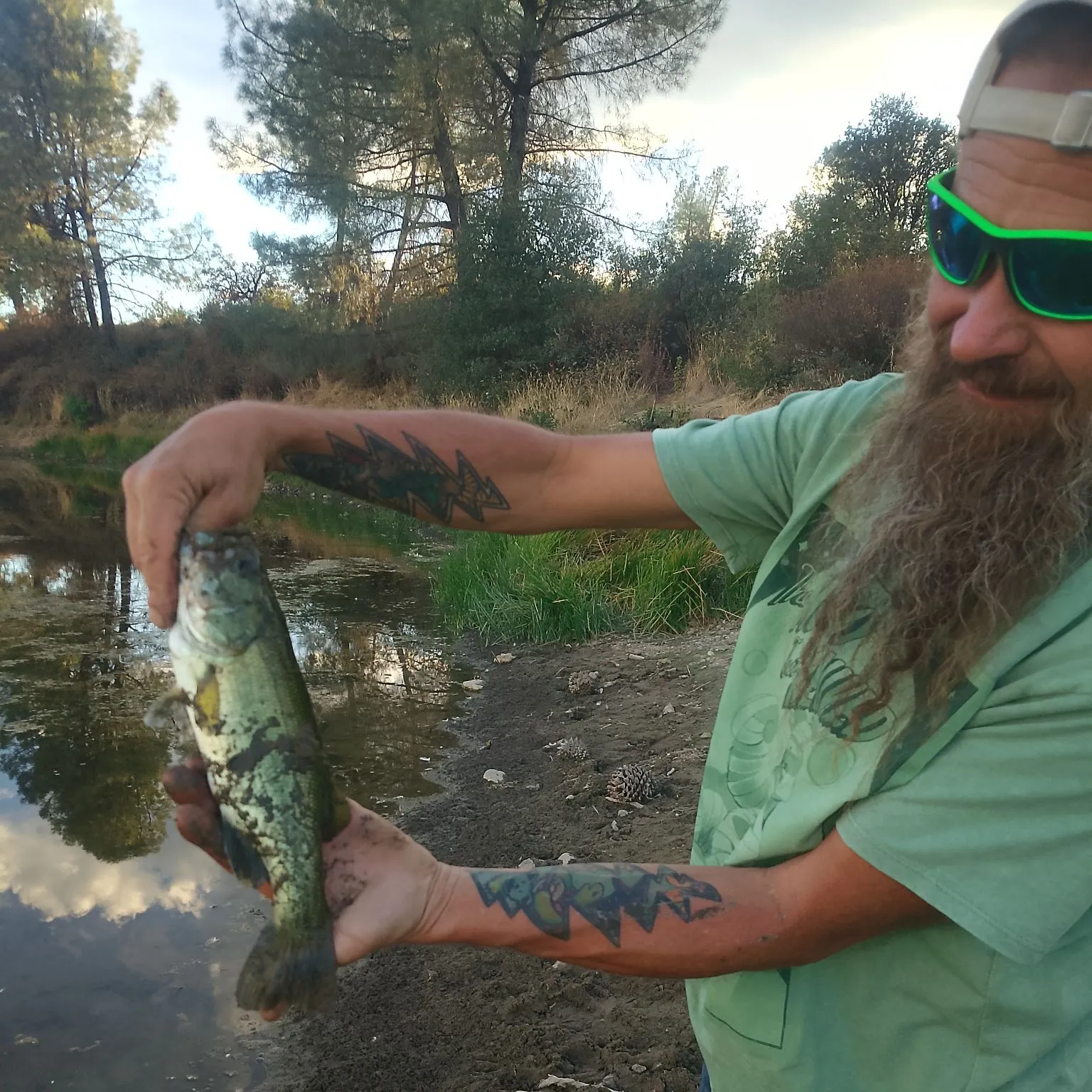 Largemouth bass caught on Fishbrain