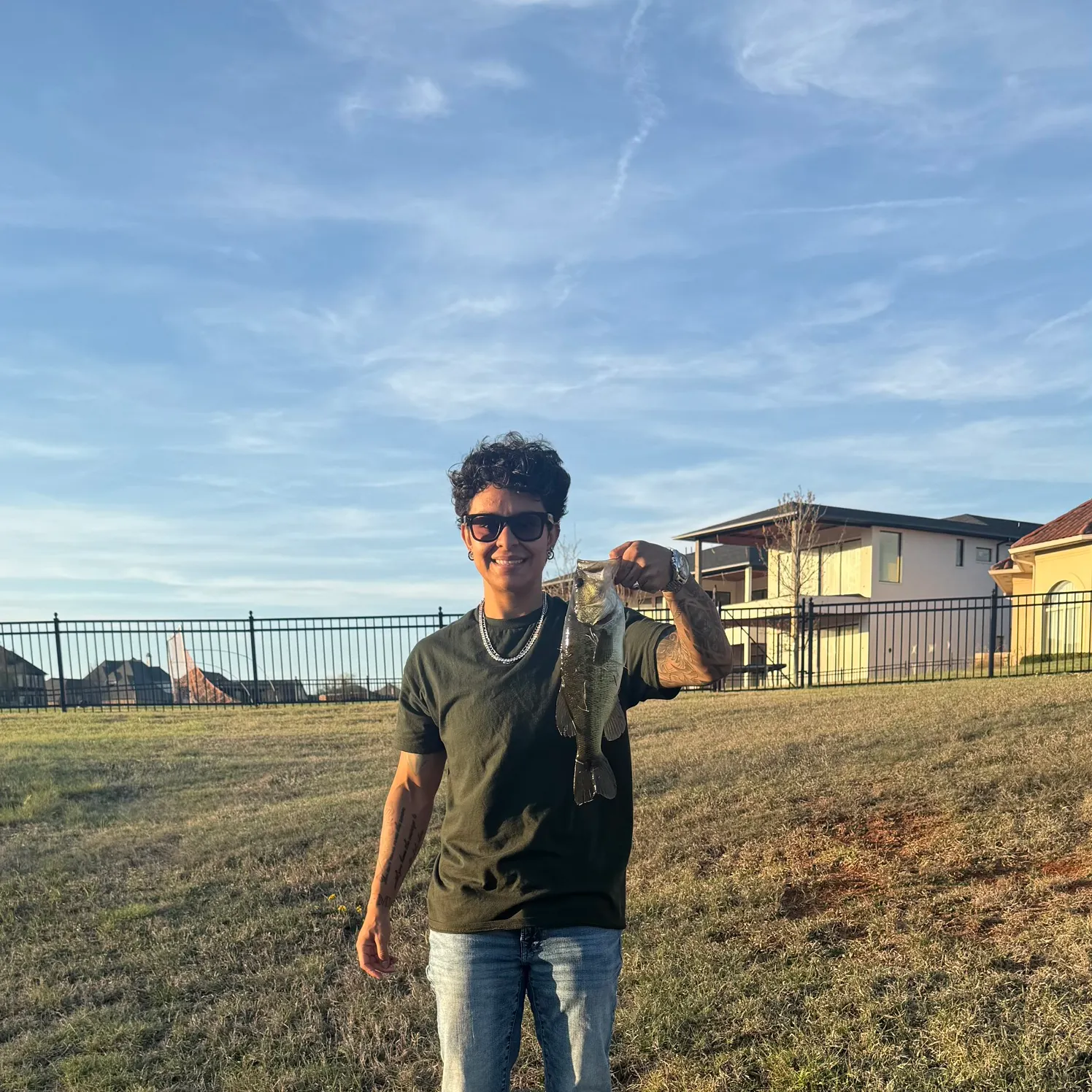 The most recent Shovelnose sturgeon catches on Fishbrain