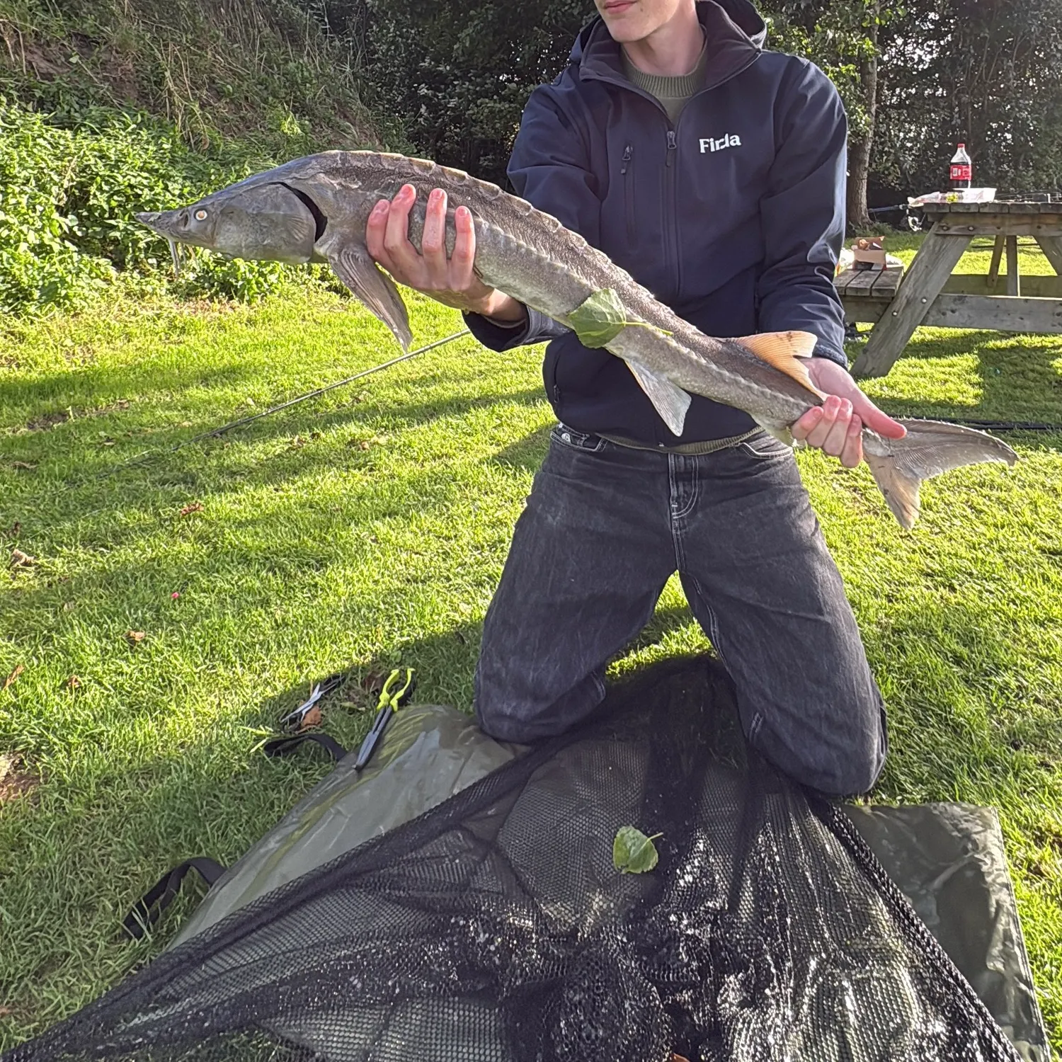 White sturgeon caught on Fishbrain