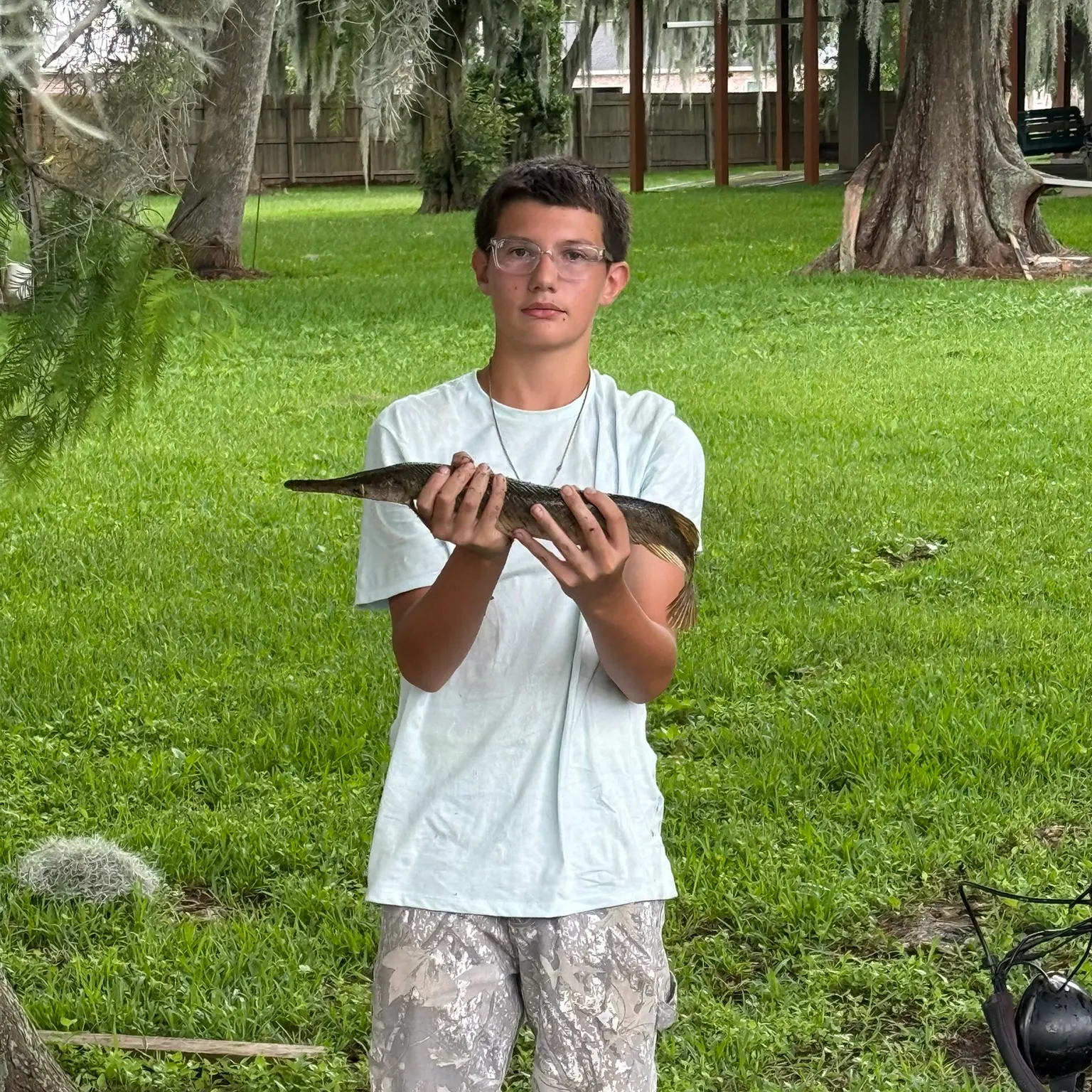 The most recent Alligator x longnose gar catches on Fishbrain