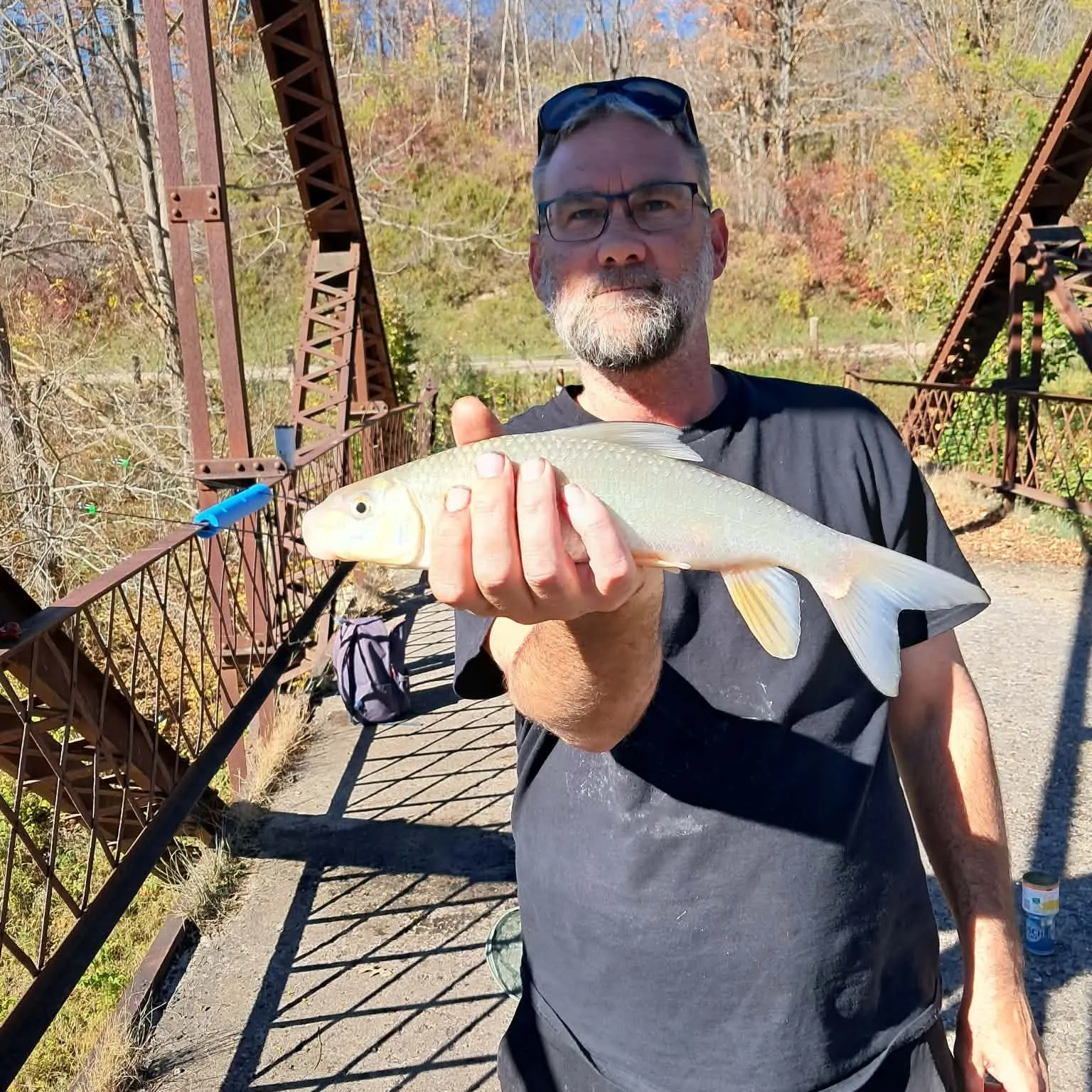 Golden redhorse caught on Fishbrain