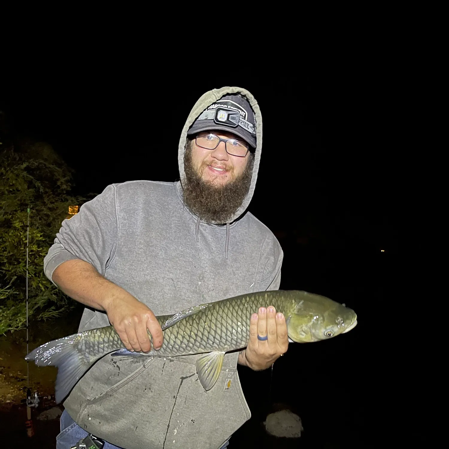 Grass carp caught on Fishbrain