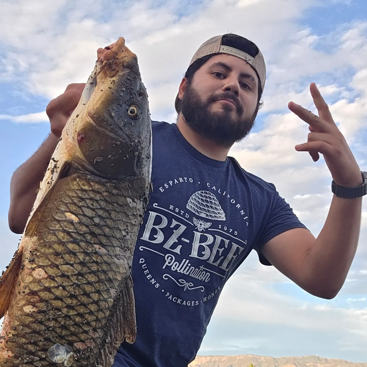 Common carp caught on Fishbrain