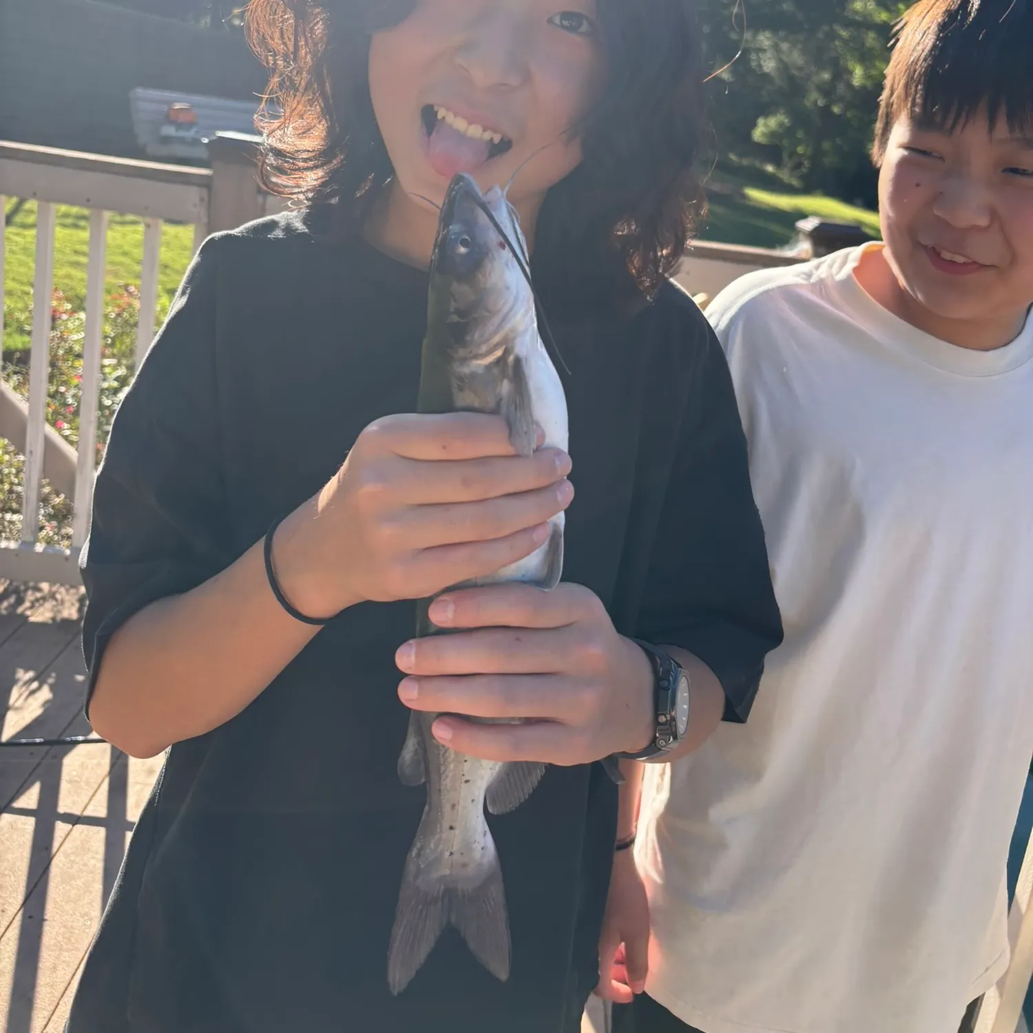 Channel catfish caught on Fishbrain