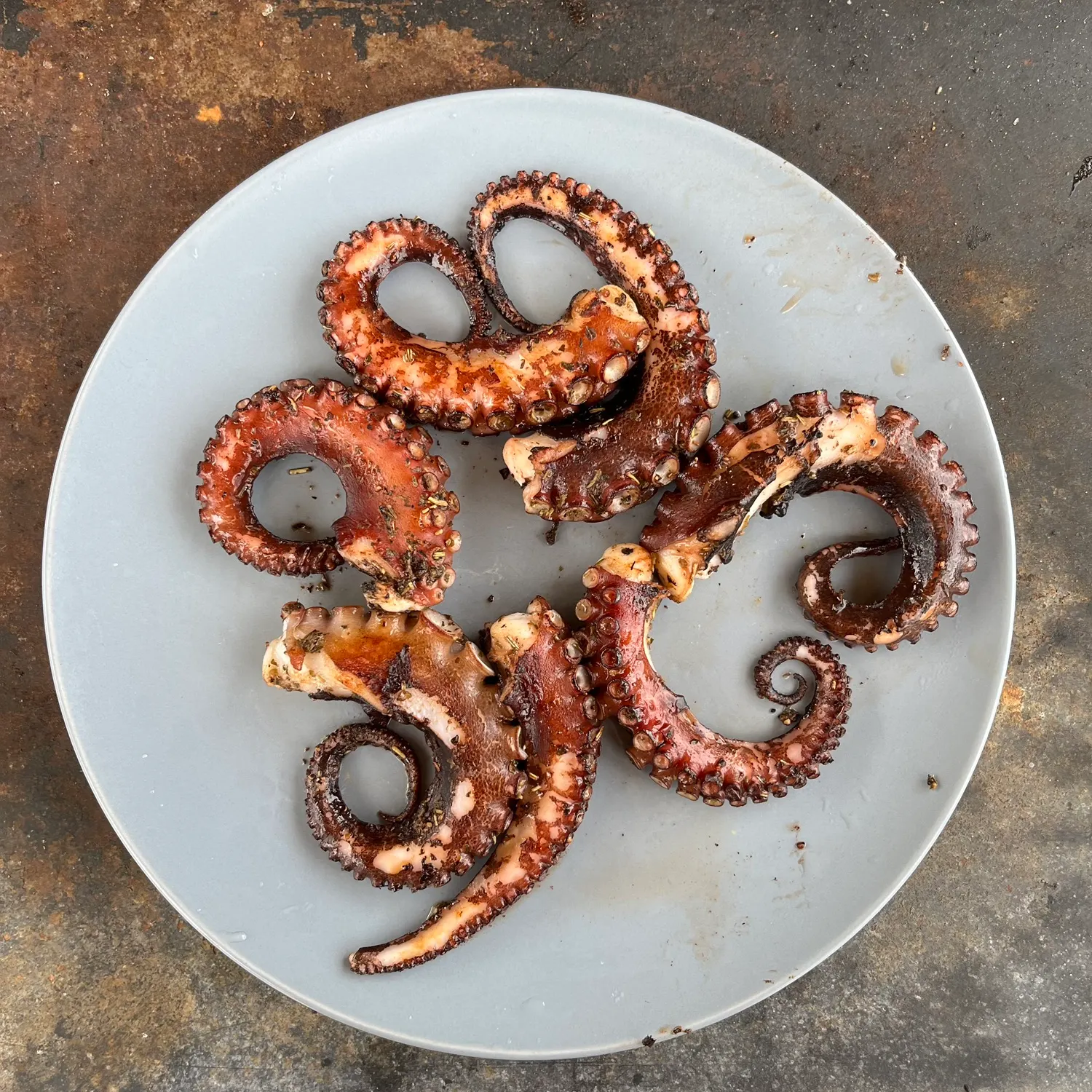The most recent Common octopus catches on Fishbrain