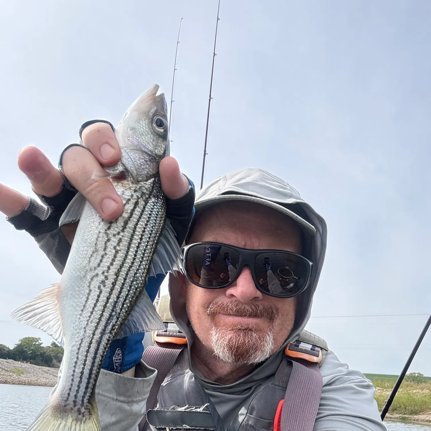 Striped bass caught on Fishbrain