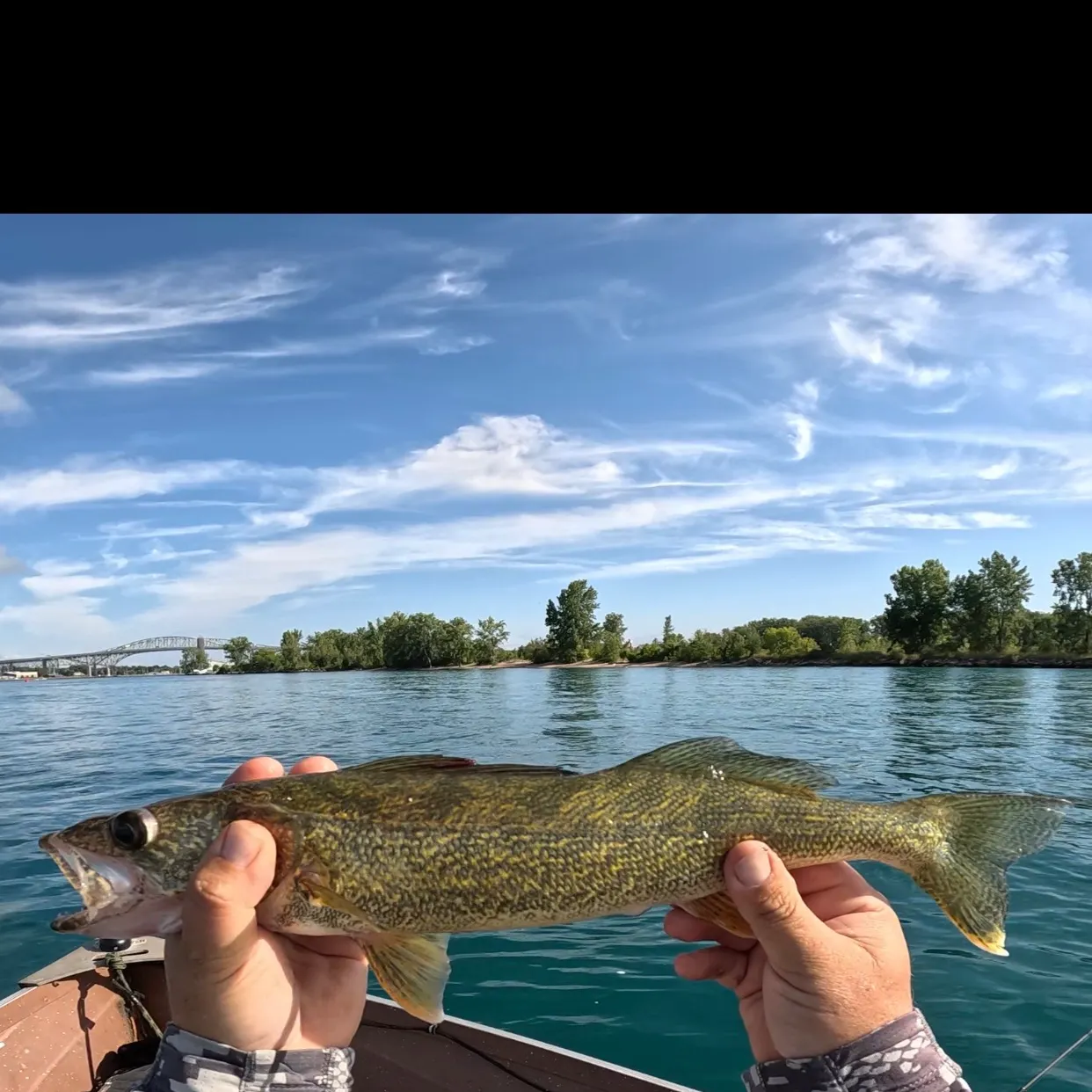 Walleye caught on Fishbrain