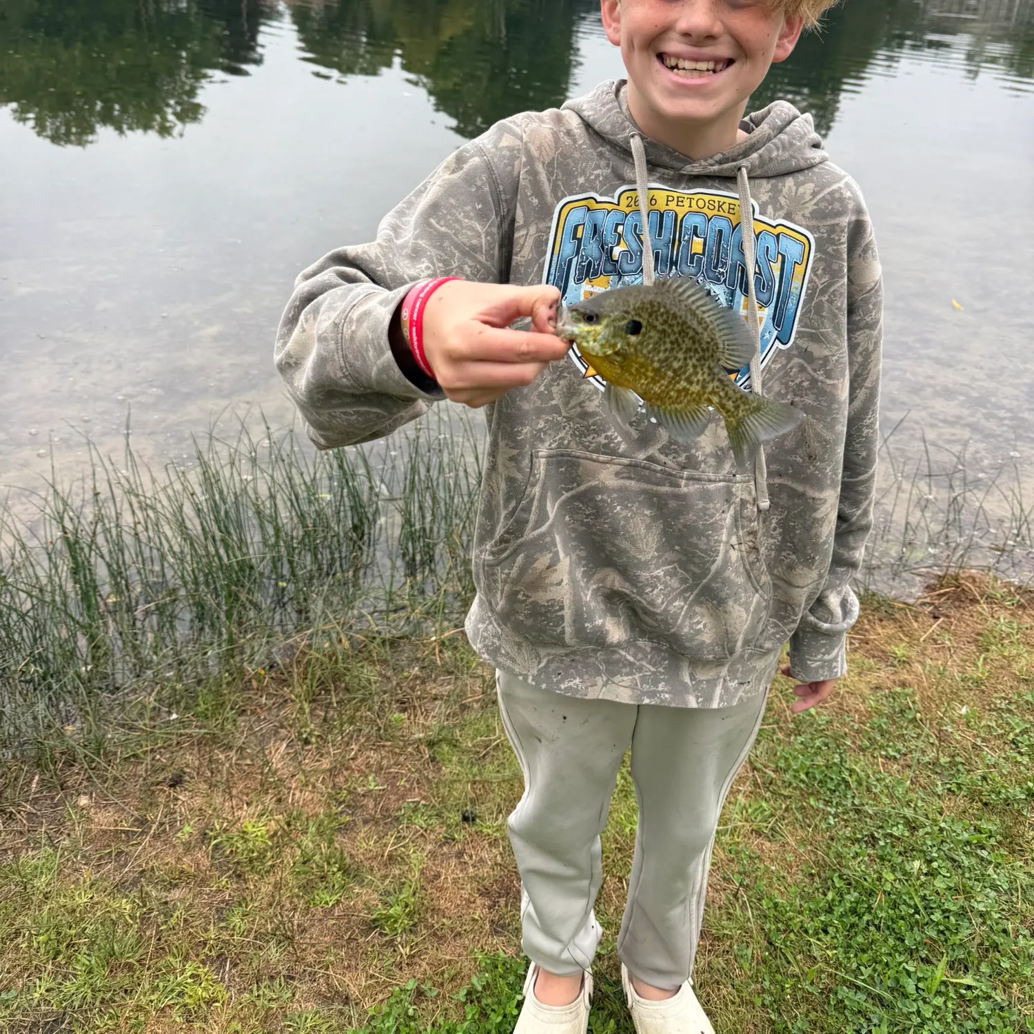 Bluegill caught on Fishbrain