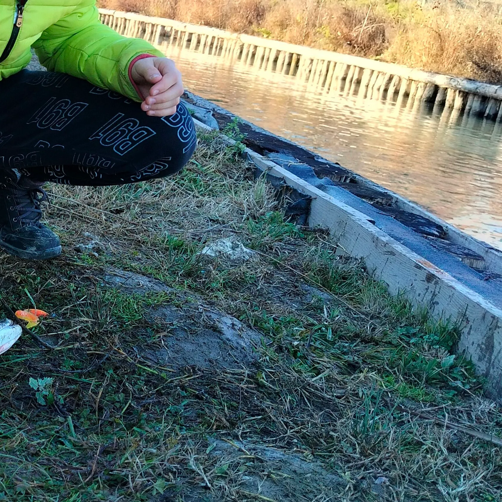 Northern pike caught on Fishbrain