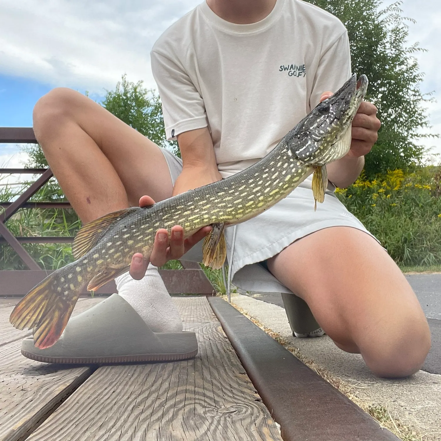 Northern pike caught on Fishbrain